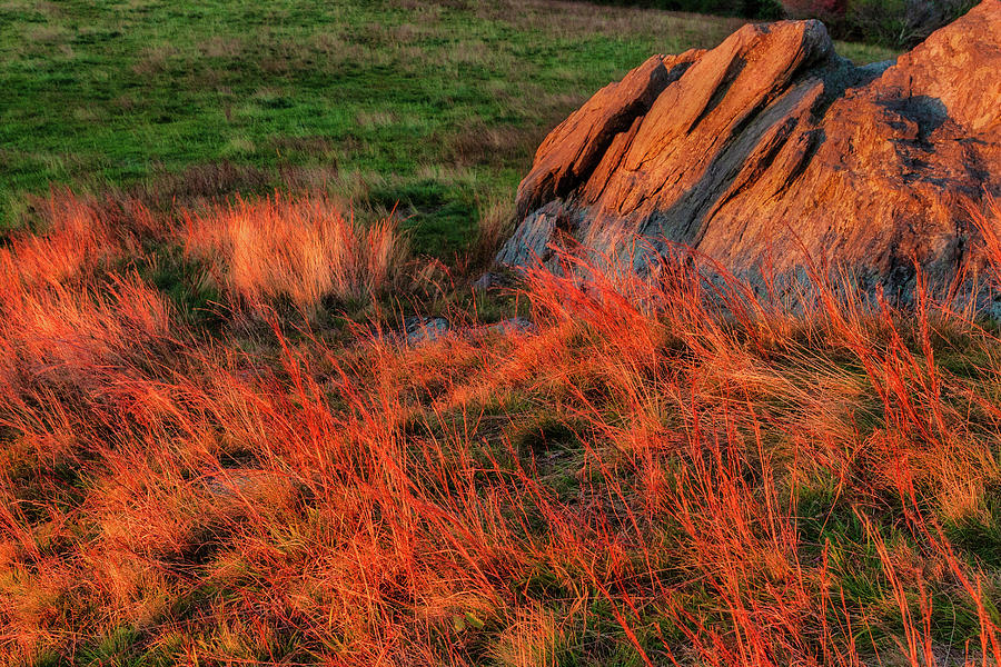 Autumn Sunrise Shines on Rocks and Grass Photograph by Dan Carmichael