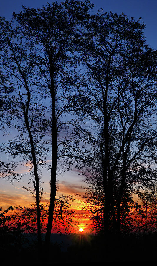 Autumn Sunrise Silhouette Photograph by Dan Carmichael