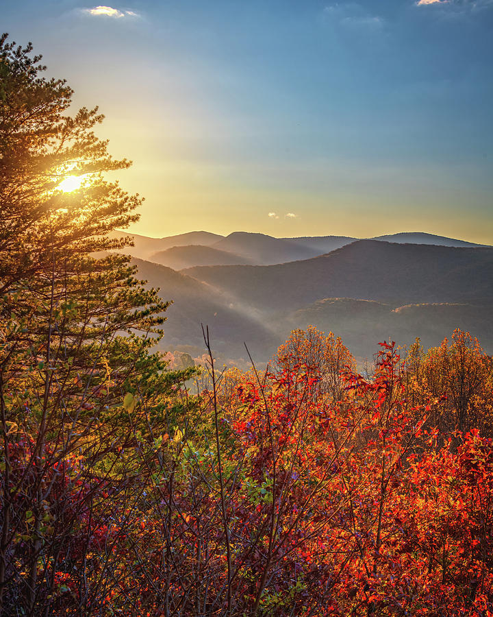 Autumn Sunrise Photograph by Tricia Louque
