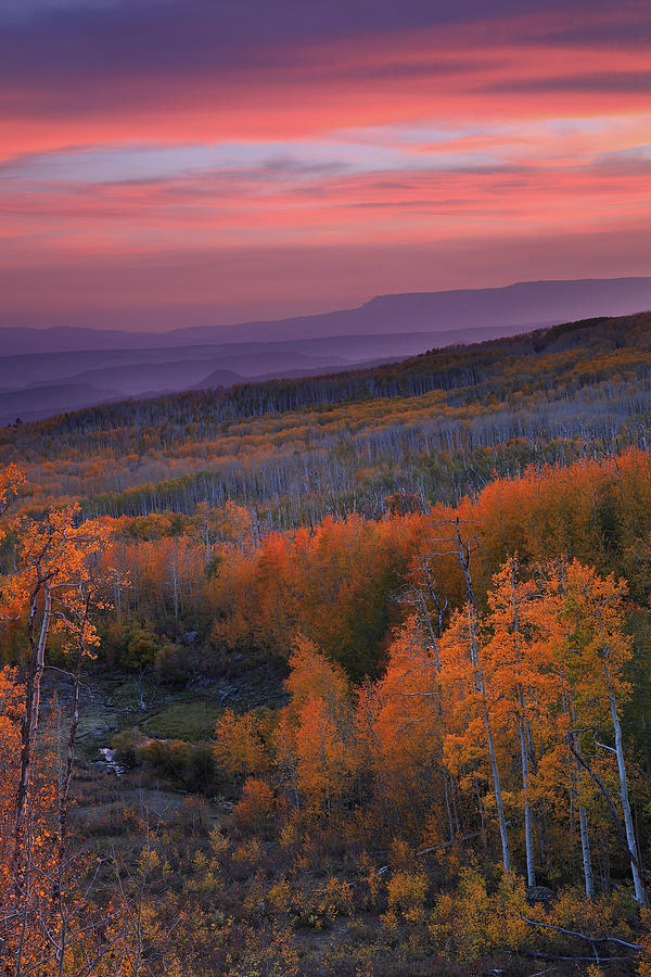 Autumn sunset at Deer Creek in the Dixie National Forest in Utah Photograph by Jetson Nguyen