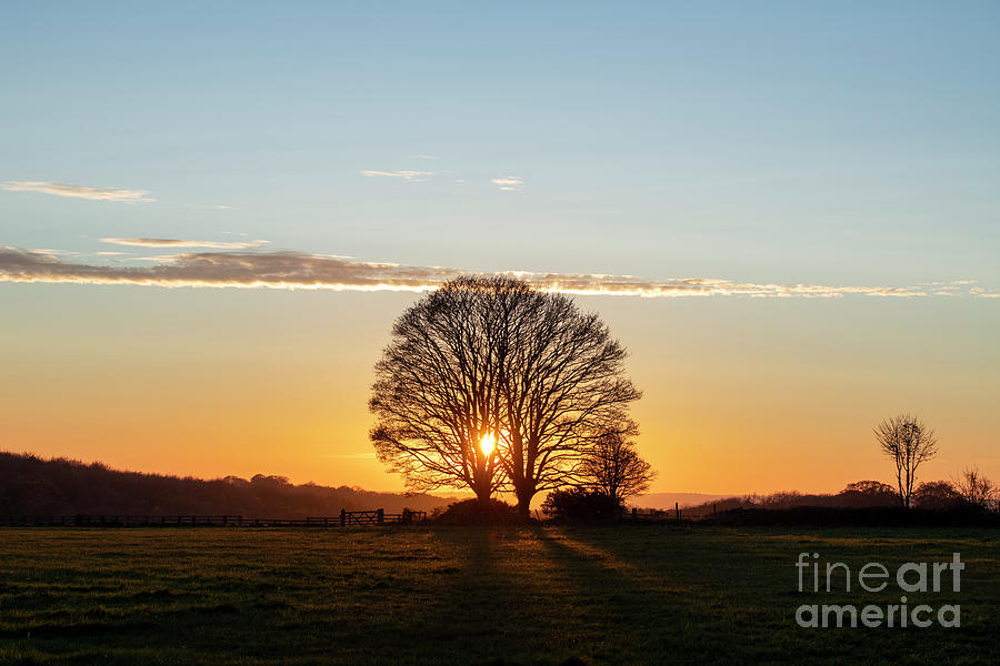 Autumn Sunset Beech Trees in the Cotswold Countryside Photograph by Tim Gainey