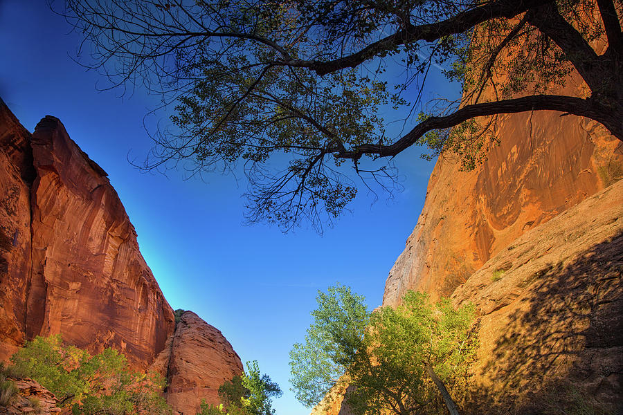 Autumn sunset in Coyote Gulch Photograph by Kunal Mehra