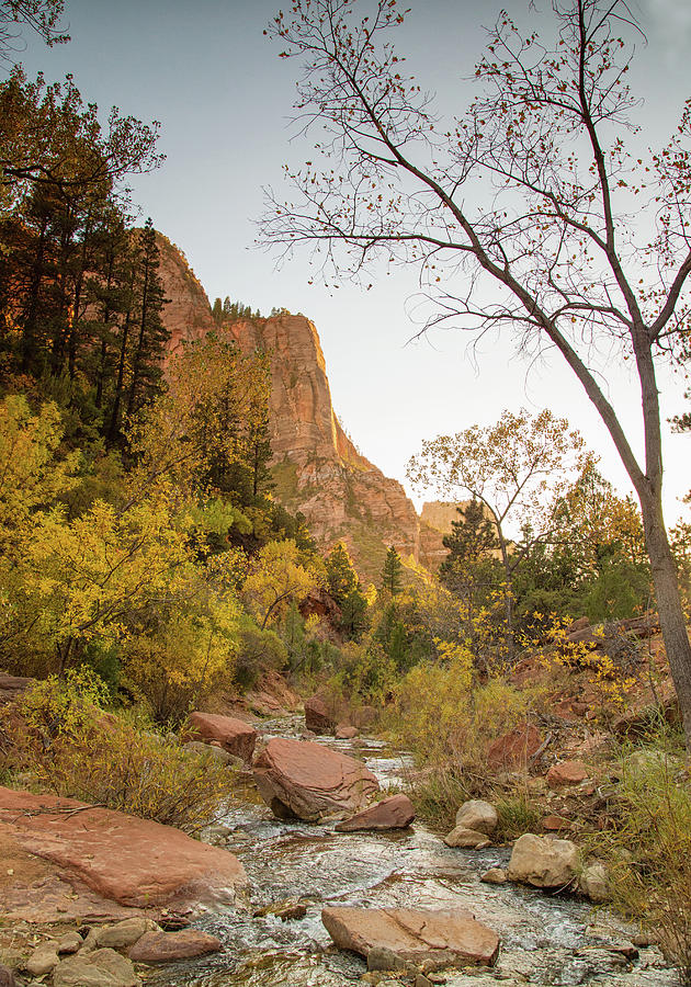 Autumn sunset in Zion Photograph by Kunal Mehra