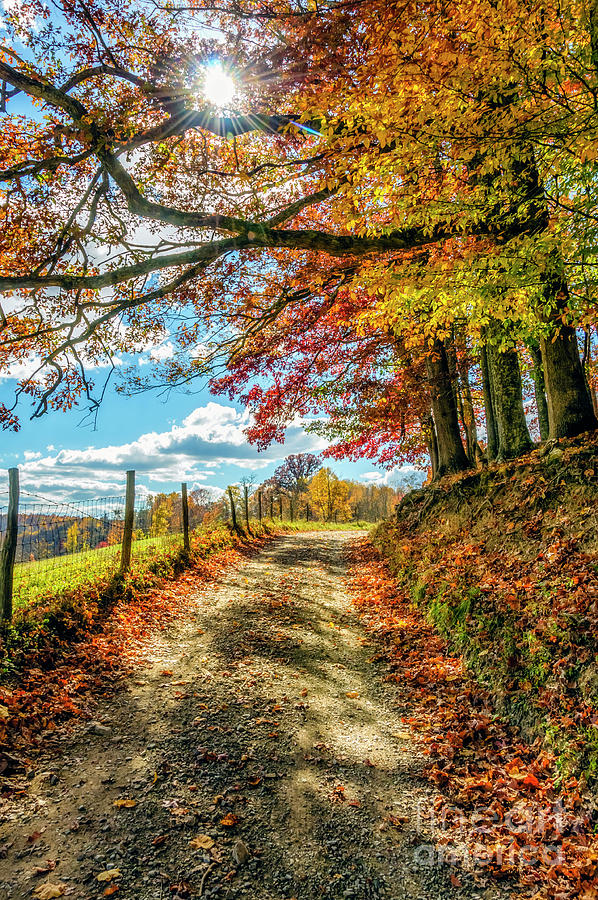 autumn country road wallpaper