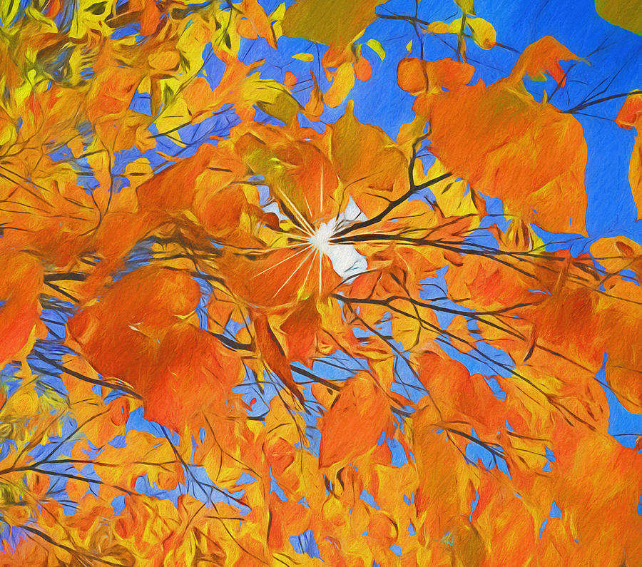 Autumn Sunshine Sky Painting by Dan Sproul