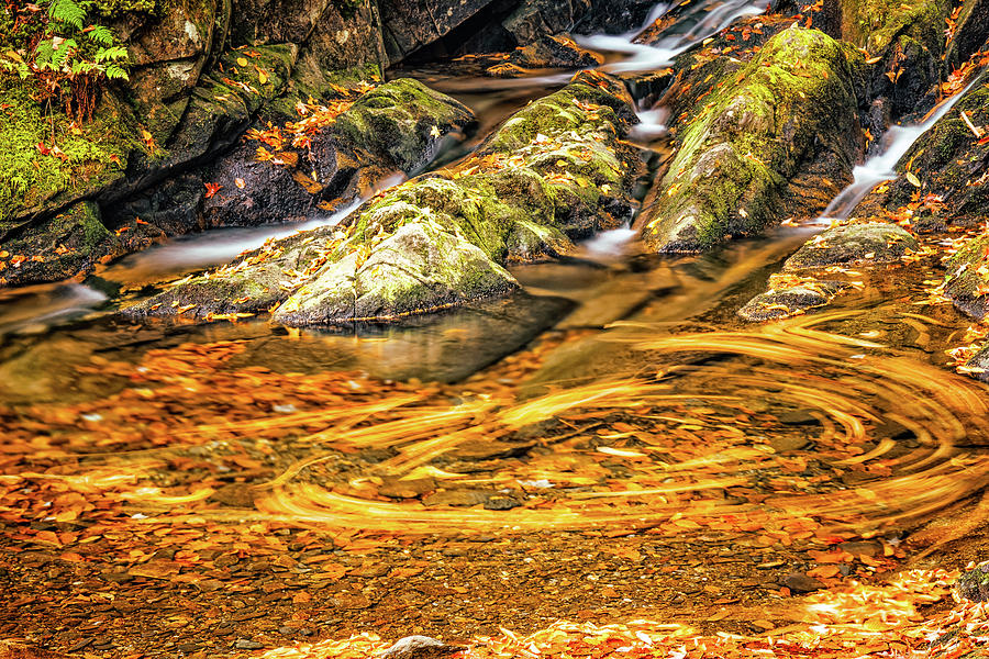 Autumn Swirls Photograph by Jeff Sinon