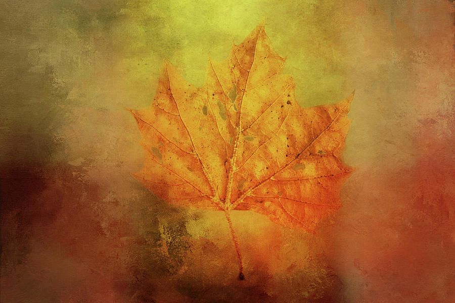 Autumn Symbol Digital Art by Terry Davis