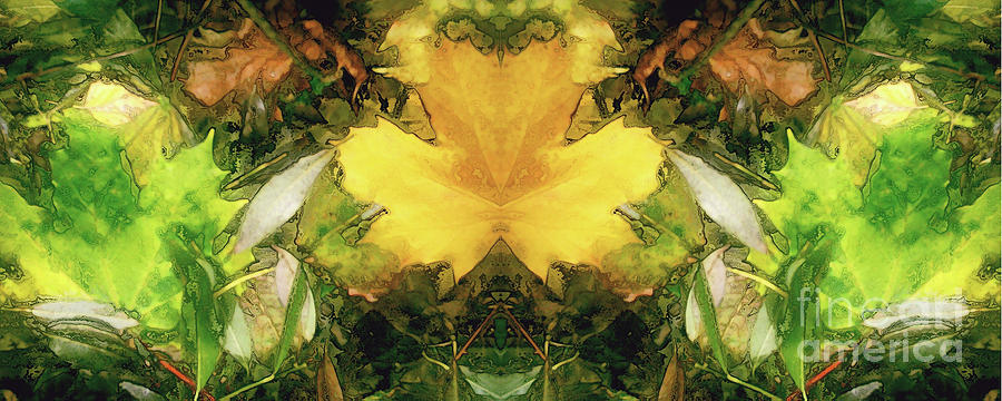Autumn Symmetry - Cycle 37 Digital Art by David Hargreaves