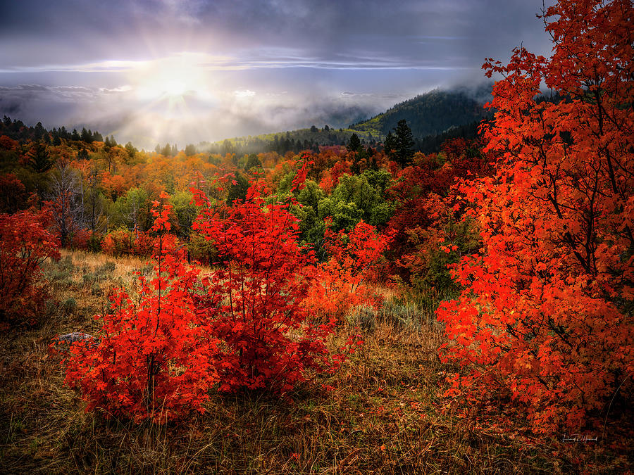 Cache National Forest Autumn Idaho 2 Photograph by Leland D Howard
