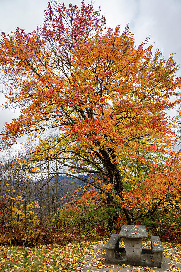 Autumn Table Photograph by James L Bartlett
