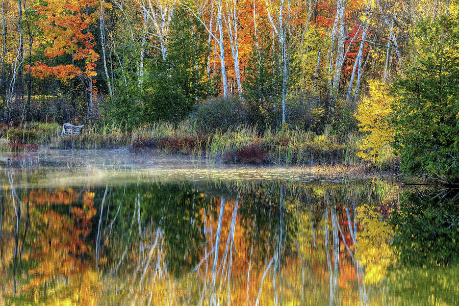 Autumn a3990 Photograph by Greg Hartford