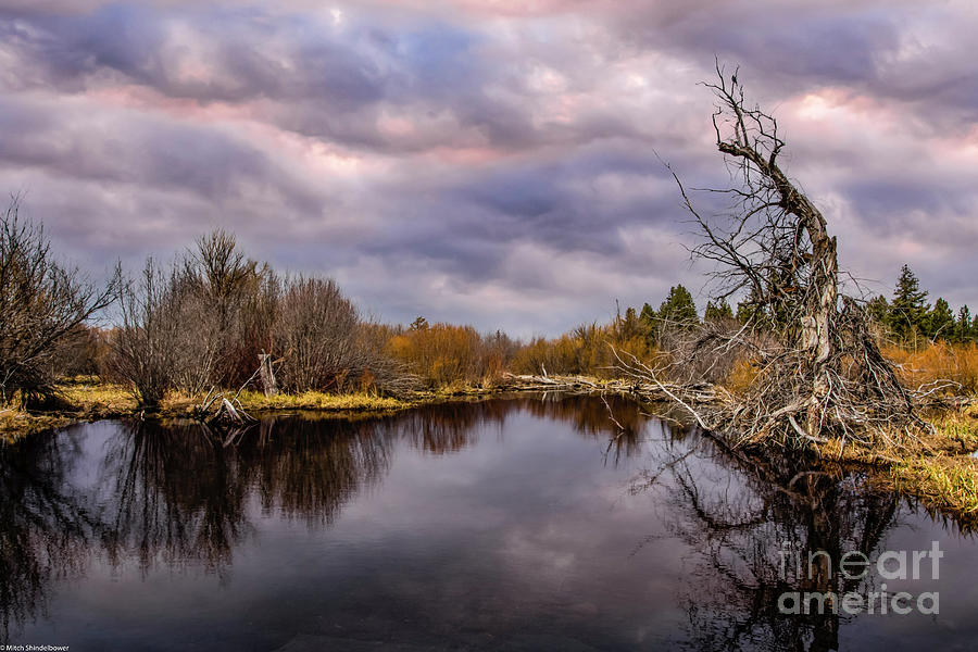 Autumn Taylor Creek Photograph