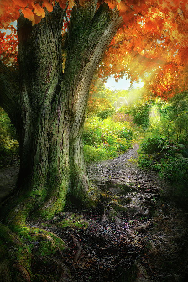 Fantasy Photograph - Autumn - The path to grannies house by Mike Savad