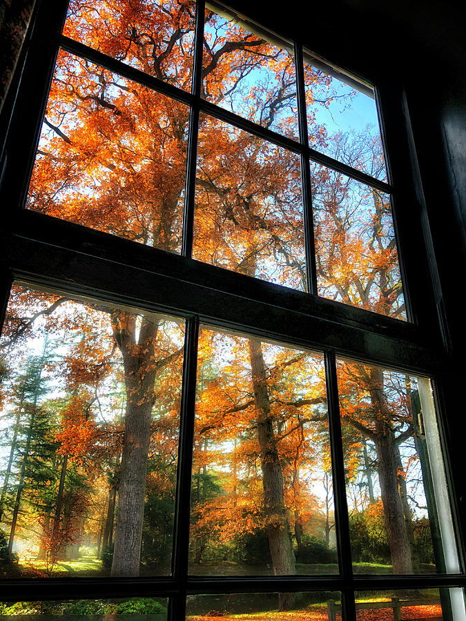 Autumn Through The Window Digital Art by Edward Galagan