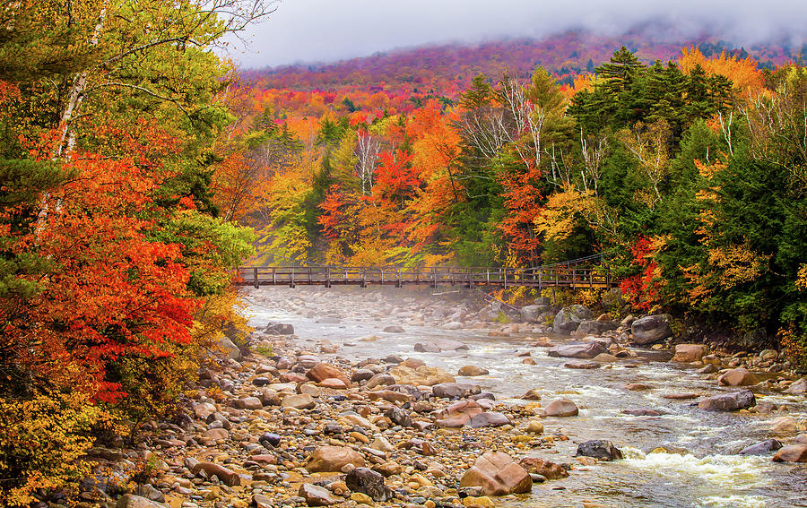 Autumn Time Photograph by Stacy LeClair | Fine Art America