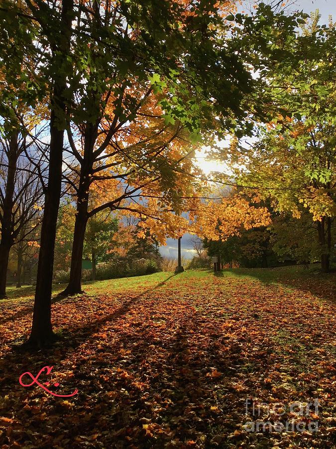 Autumn Trail Photograph by Lynne Paterson