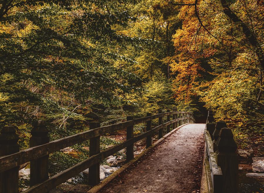 Fall Photograph - Autumn Trail by Mountain Dreams