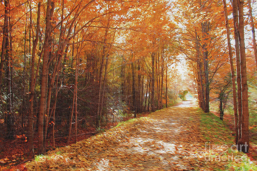 Autumn Trail PhotoPaint Photograph by Nina Silver
