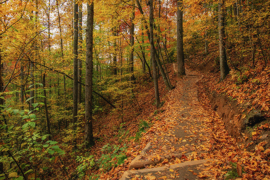 Autumn Trail Photograph by Robert J Wagner Autumn Trail Photograph by Robert J Wagner