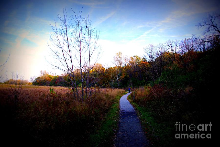 Autumn Trail Under The Blue Sky - Frank J Casella Photograph by Frank J Casella