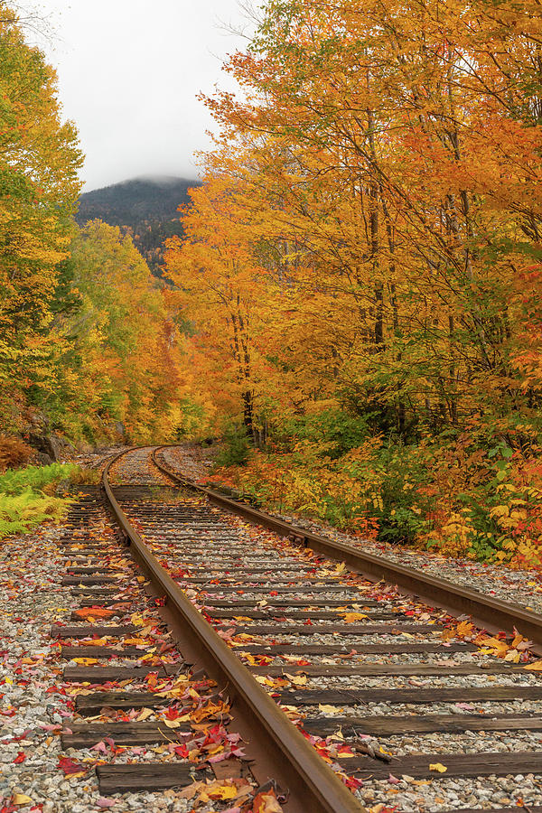 Autumn Train Tracks Photograph by Dan Sproul