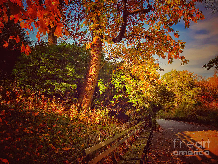 Autumn Tranquility - Central Park New York - Prints - Puzzles - and More Photograph by Miriam Danar