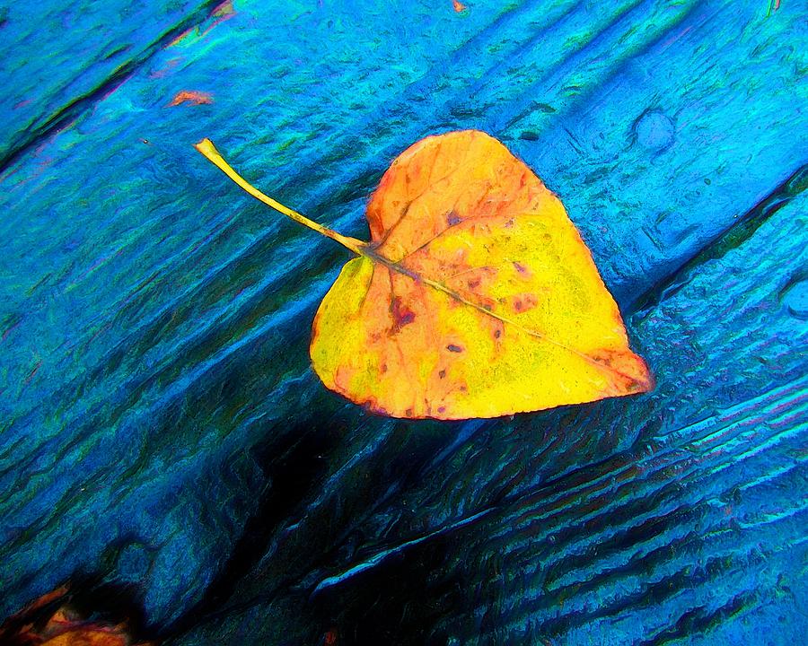 Autumn Treasure Photograph by Iina Van Lawick