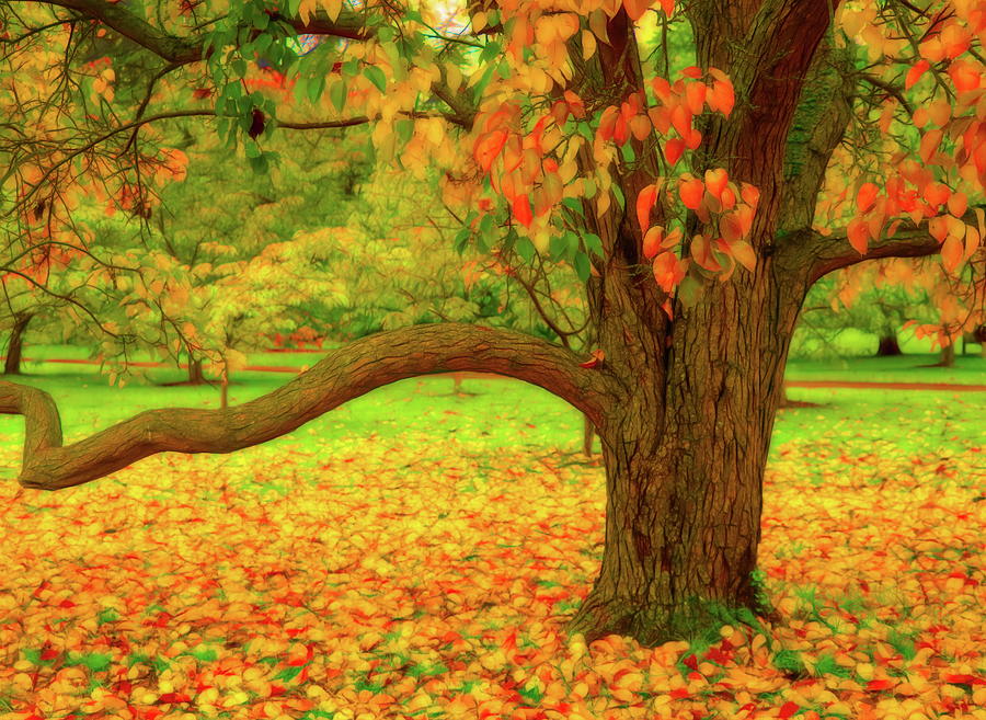 Autumn Tree And Leaves One Digital Art by Mo Barton
