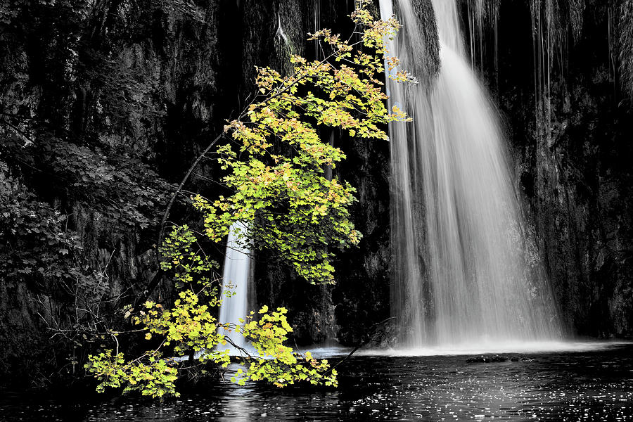Autumn Tree and Waterfall Photograph by Artur Bogacki