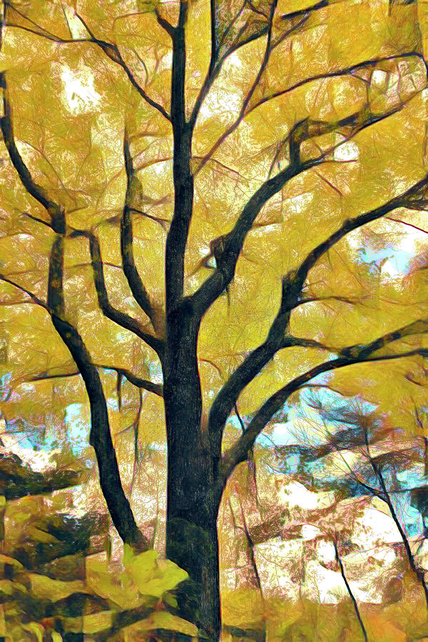 Autumn Tree at the Edge of the Pond Abstract Painting Photograph by Debra and Dave Vanderlaan