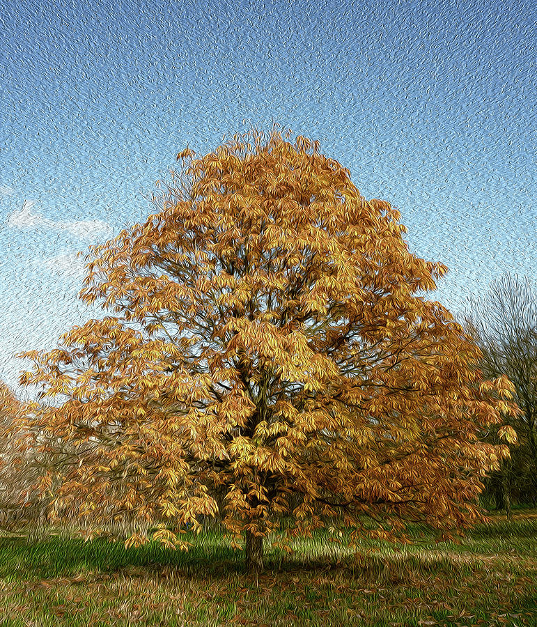 Autumn  Tree Painting