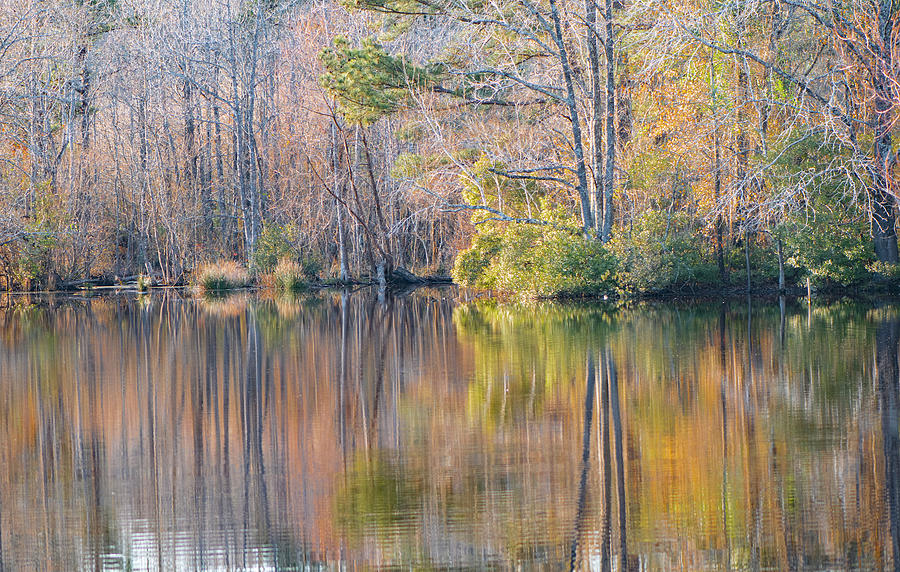 Fall Photograph - Autumn Tree Reflections  by Phil And Karen Rispin