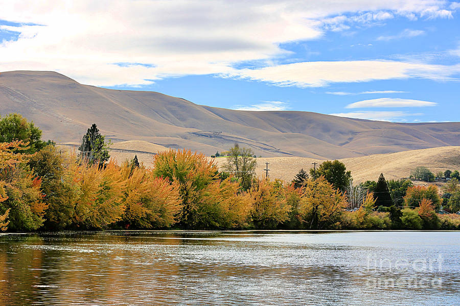 Autumn Trees along Yakima River with Rolling Photograph by Carol Groenen