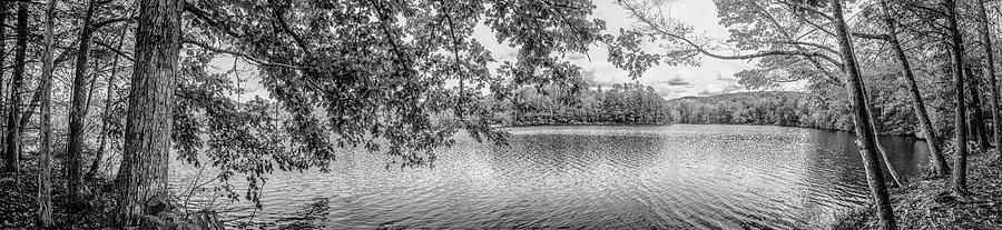 Autumn Trees at the Lake Indian Boundary Black and White Photograph by Debra and Dave Vanderlaan