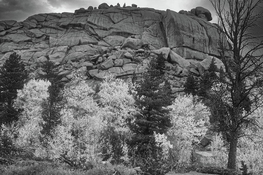 Autumn Trees at Vedauwoo, WY in Black and White Photograph by Chance Kafka