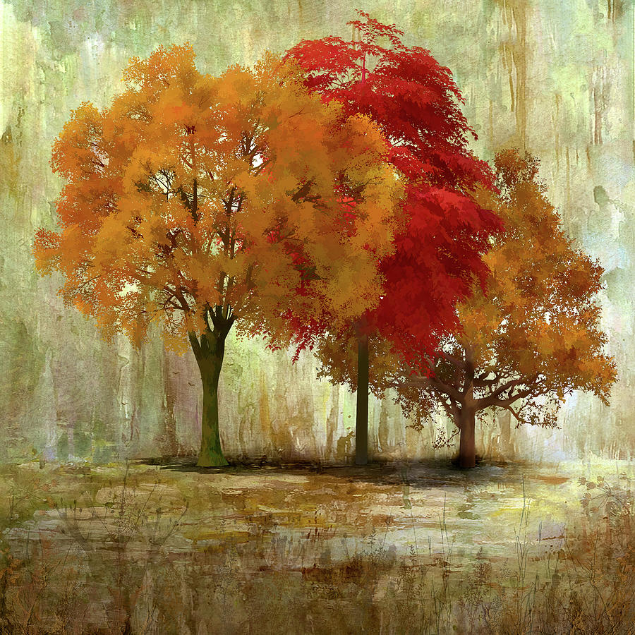 Autumn Trees Digital Art by Barbara Mierau-Klein