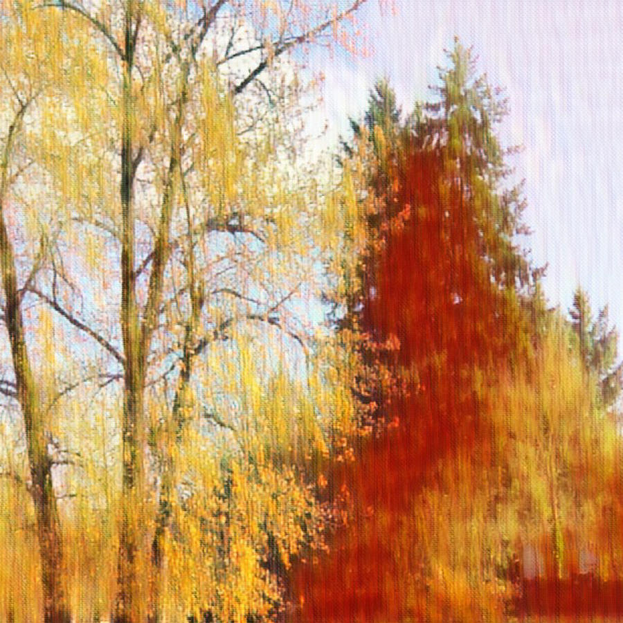 Autumn Trees Painting by Bonnie Bruno Autumn Trees Painting by Bonnie Bruno
