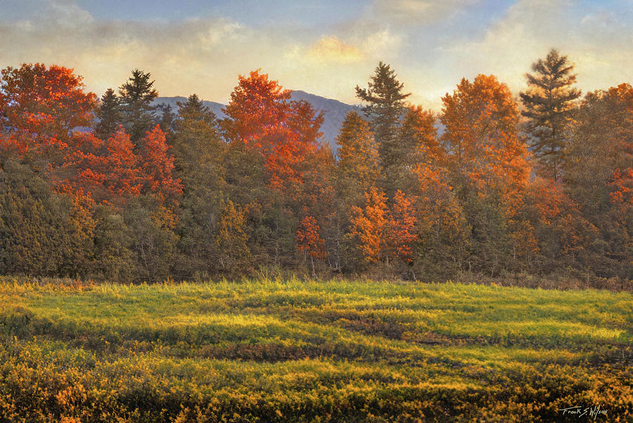 Autumn Trees D Digital Art by Frank Wilson
