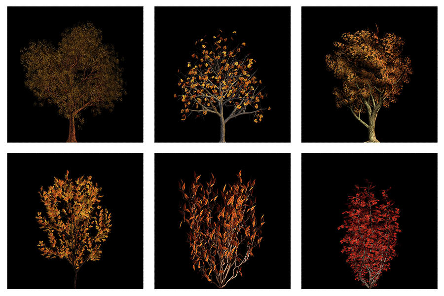 Autumn Trees Hexaptych in Rough Pastels  Digital Art by David Dehner