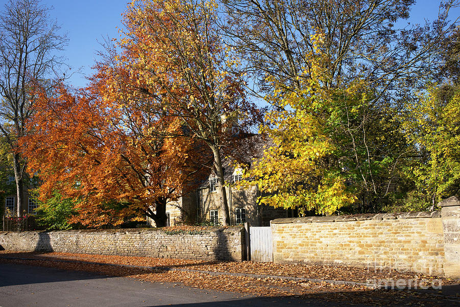 Autumn Trees in the Cotswold Village of Kingham  Photograph by Tim Gainey