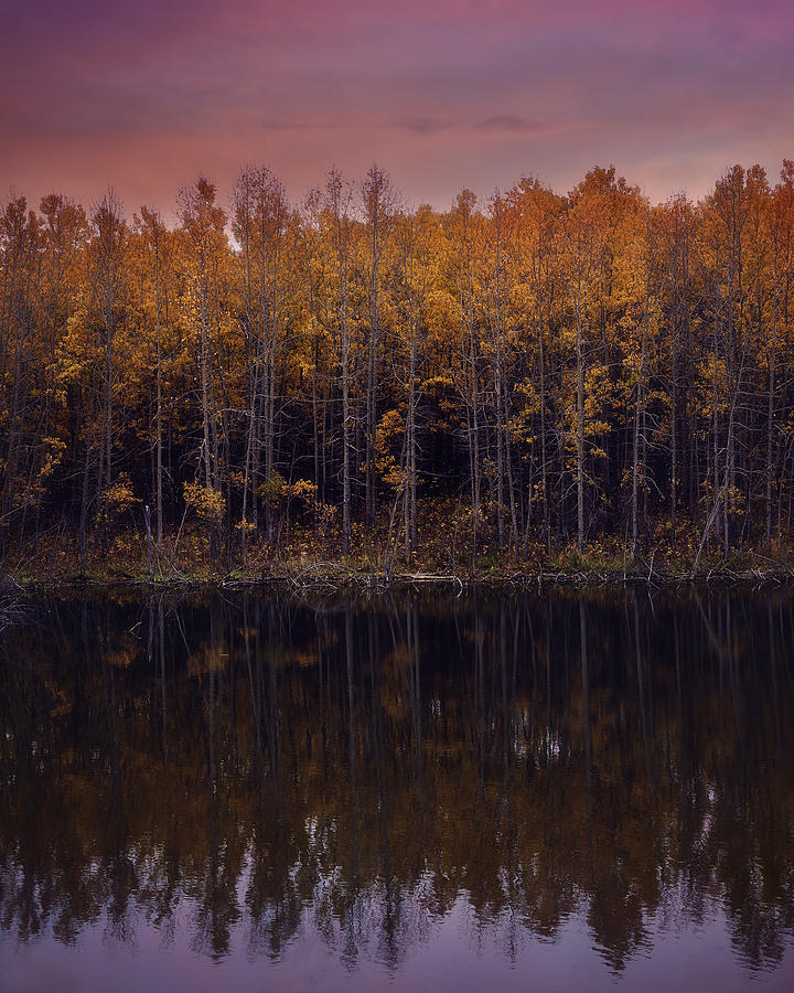 Autumn trees reflected in a lake at sunset Photograph by Ambre Haller