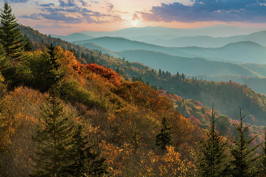 Autumn Trees Smoky Mountains National Park Tennessee Photograph by ...