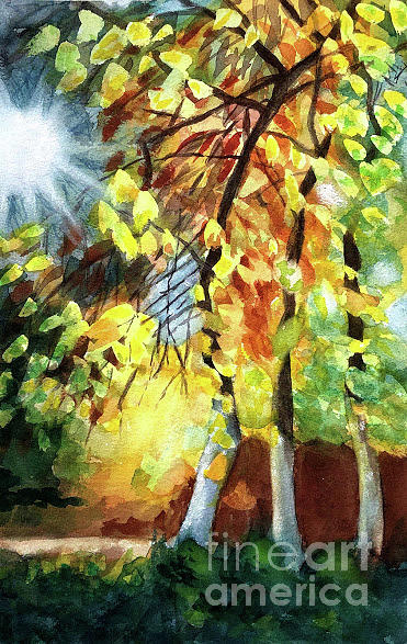 Autumn Trees Painting by Vicki B Littell