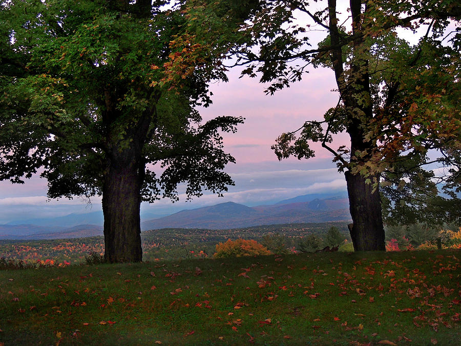 Autumn Trees with a View from Newbury Vermont Photograph by Nancy Griswold
