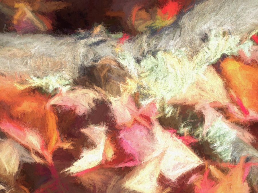 Autumn Tumble - Photograph by Julie Weber