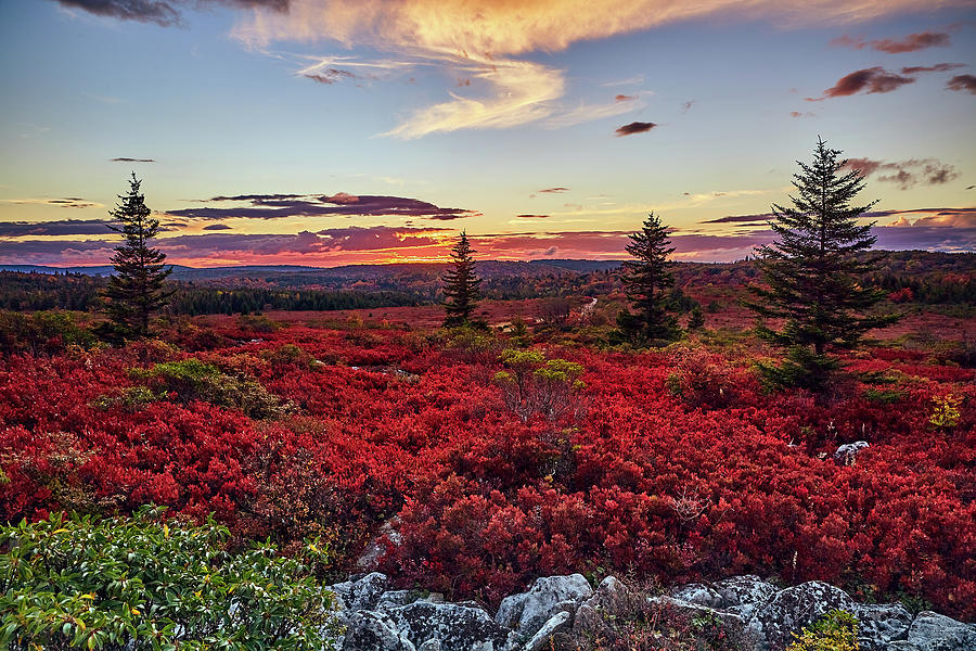 Fall Photograph - Autumn Twilight by Brian Simpson