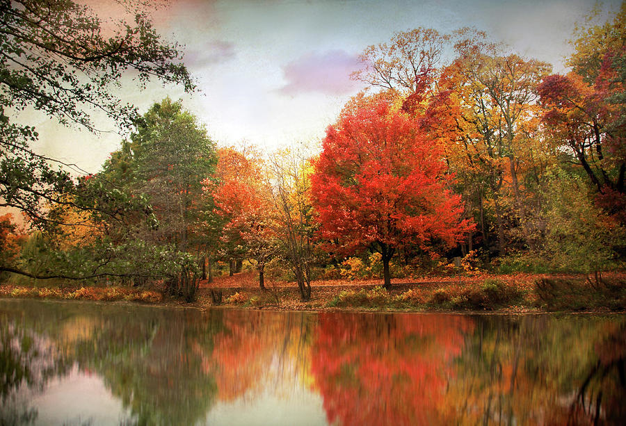 Autumn Twilight Photograph by Jessica Jenney