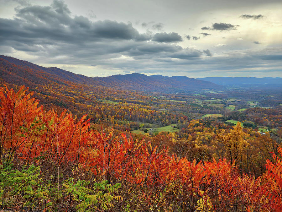 Autumn Valley Scene Along the Blue Ridge Parkway Photograph by William Dickman