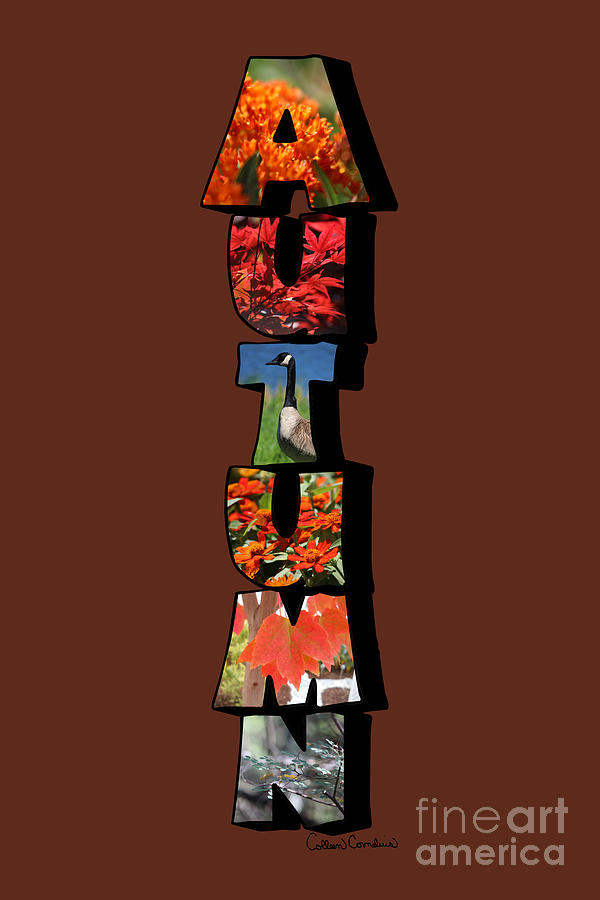 Autumn Vertical Big Letter Photograph by Colleen Cornelius