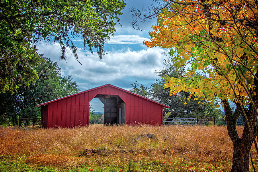 Autumn Vibes in the Hill Country Photograph by Lynn Bauer